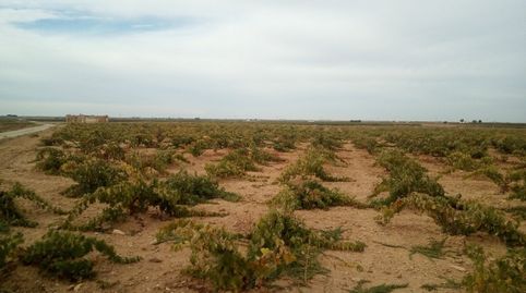 Foto 2 de Finca rústica en venta en Socuéllamos, Ciudad Real