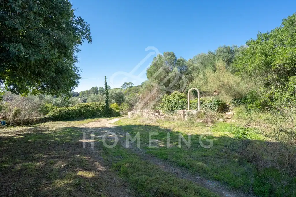 Country house with garden for sale in Costitx, imagen 32