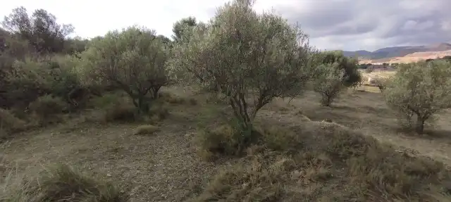 Terrain rustique à vendre à Villar del Arzobispo, imagen 6