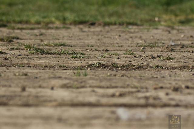 Terreno residencial en Venta en Paseo Independencia