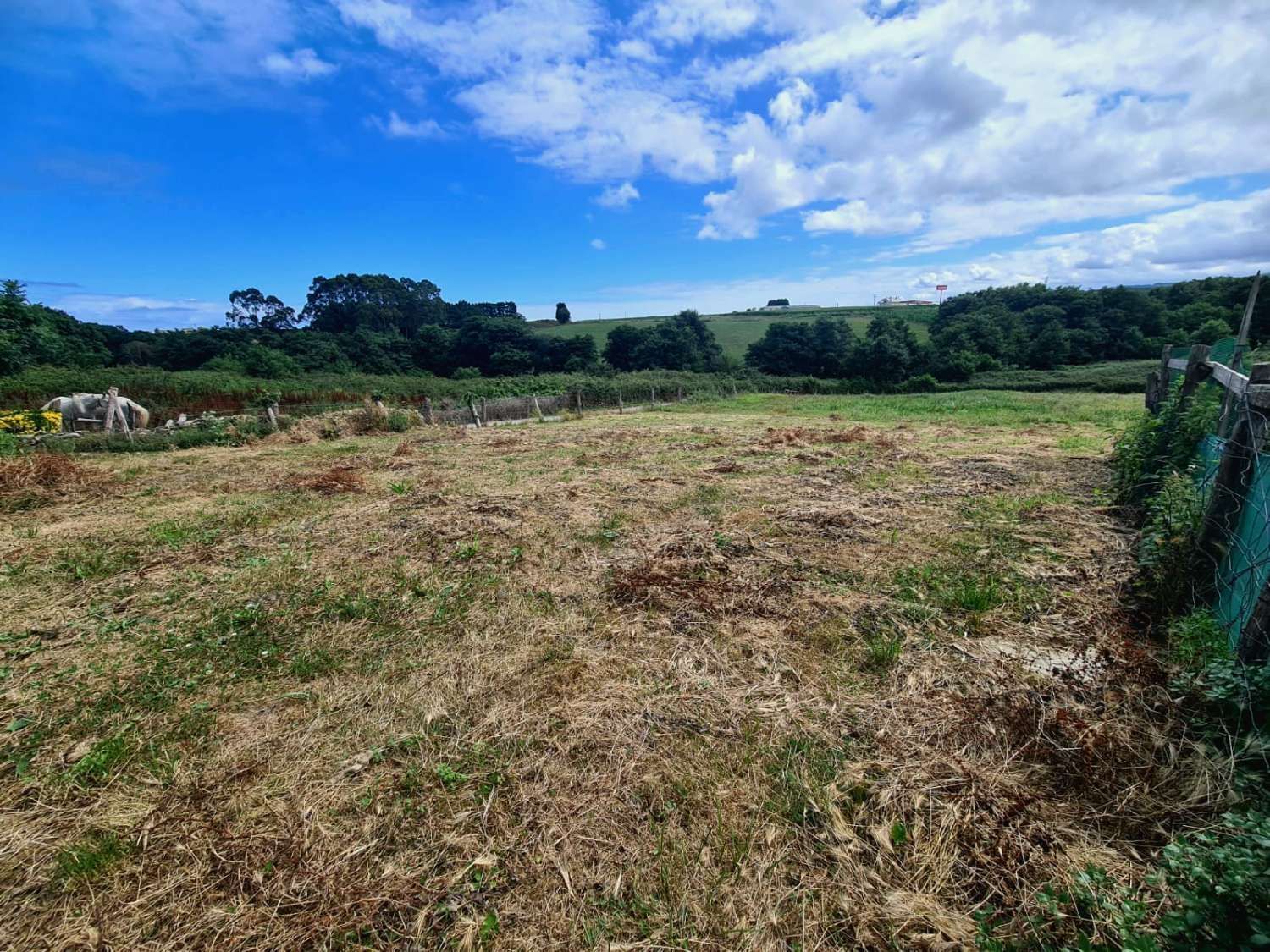 Industrial land for sale in Castropol