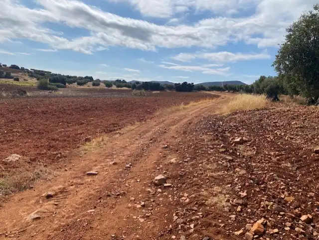 Terreny rústic en venda a Sonseca, imagen 5