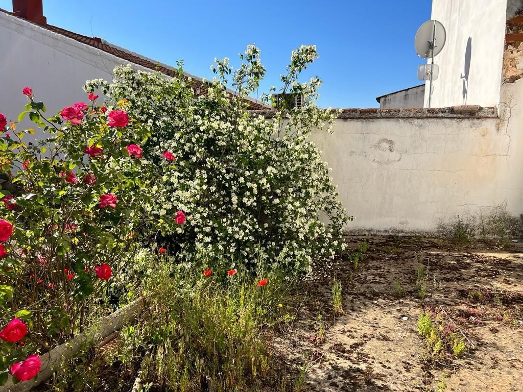 Garden of Planta baja for sale in Villaviciosa de Córdoba