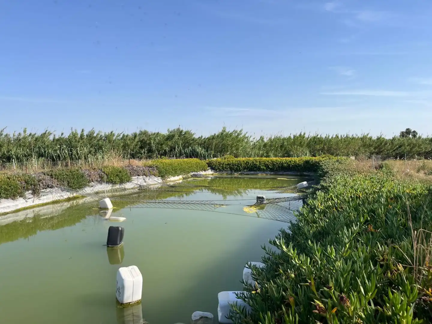 Finca rústica en venta en Utrera