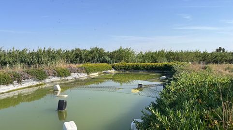 Foto 4 de Finca rústica en venda a Pedanías Norte, Utrera