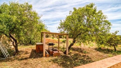 Foto 3 de Finca rústica en venta en Llucmajor pueblo, Illes Balears
