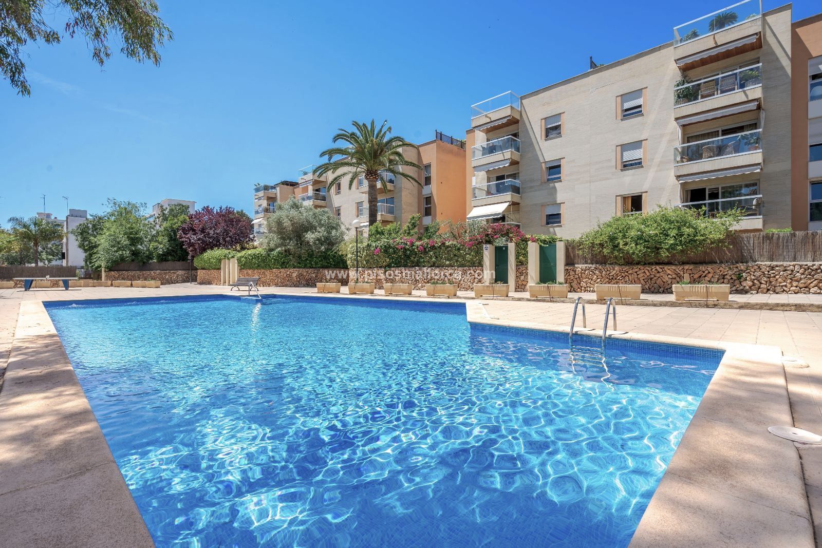 Swimming pool of Flat to rent in  Palma de Mallorca  with Air Conditioner, Heating and Swimming Pool