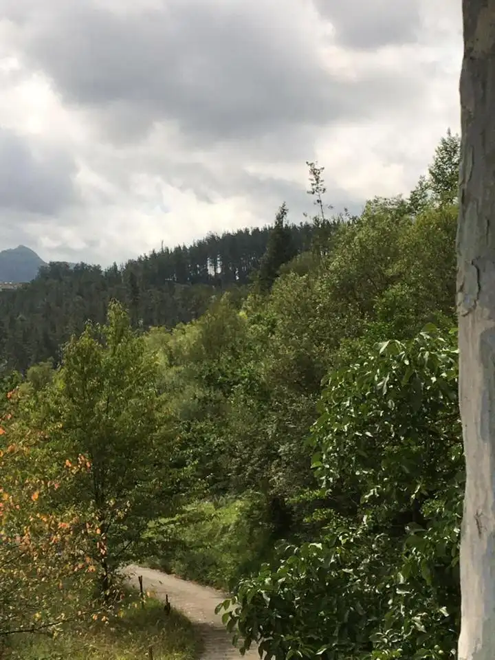 Finca rústica en venda en Mallabia