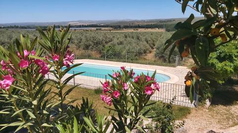 Foto 5 de Casa o xalet en venda a N/a, -1, Santo Tomé, Jaén