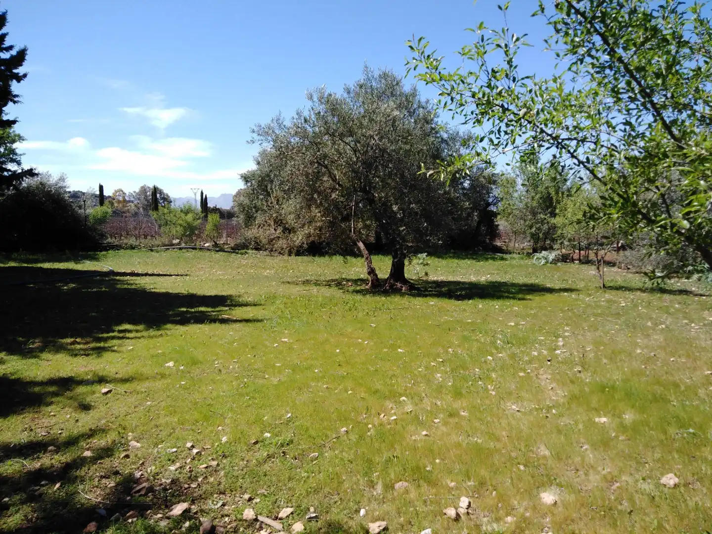 Casa rústica amb piscina en venda a Partidas Norte, imagen 23