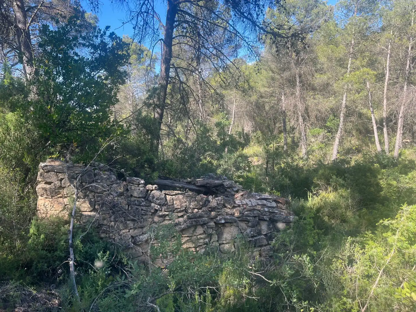 Terreni e lotti in vendita a Arens de Lledó, imagen 2