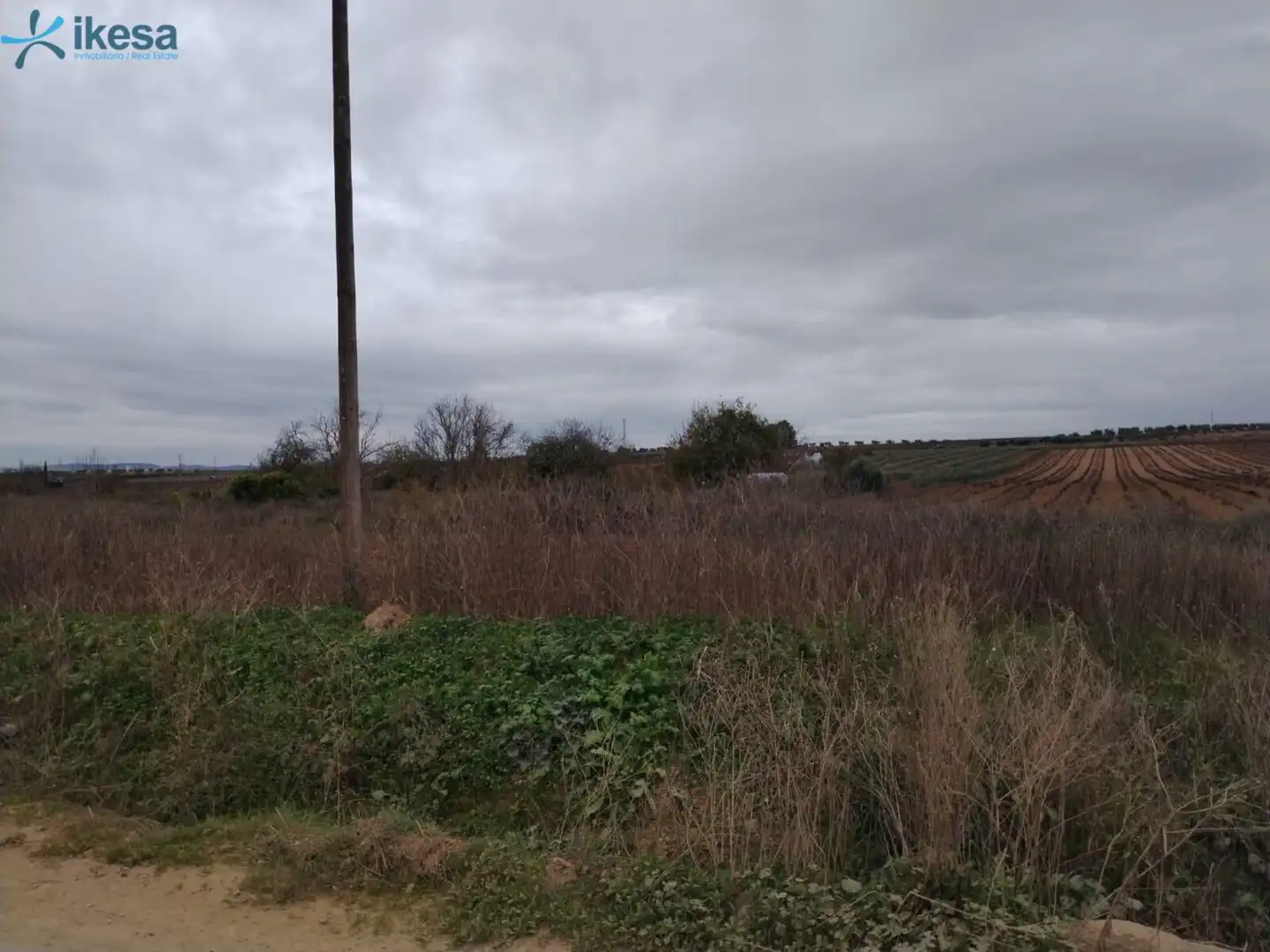 Terreni e lotti in vendita a Villalba de los Barros, imagen 5
