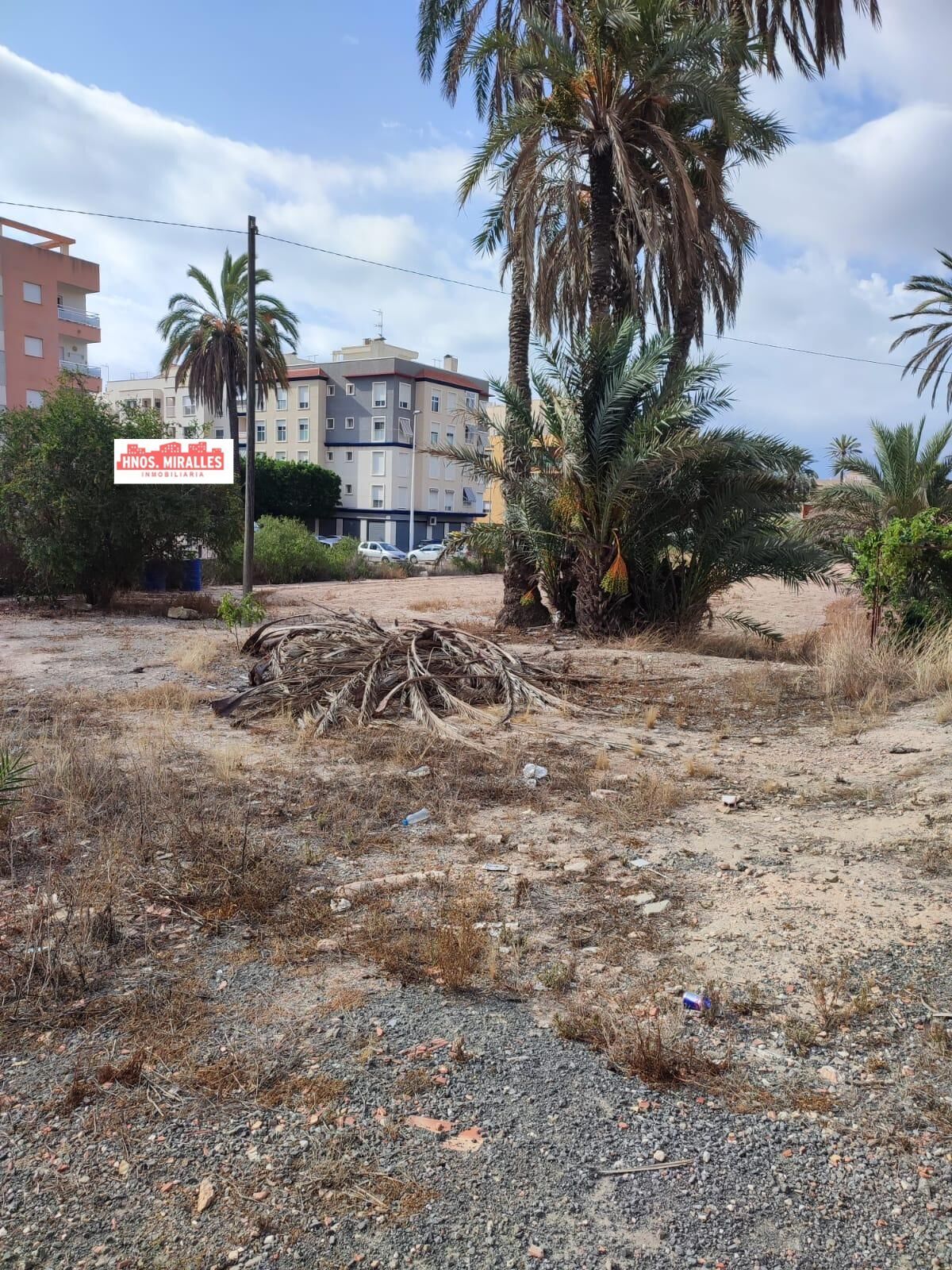 Country house for sale in Elche / Elx