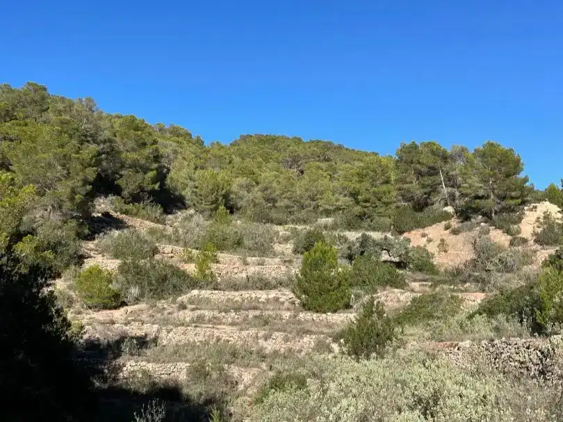 Finca rústica en venda en Sant Josep de sa Talaia