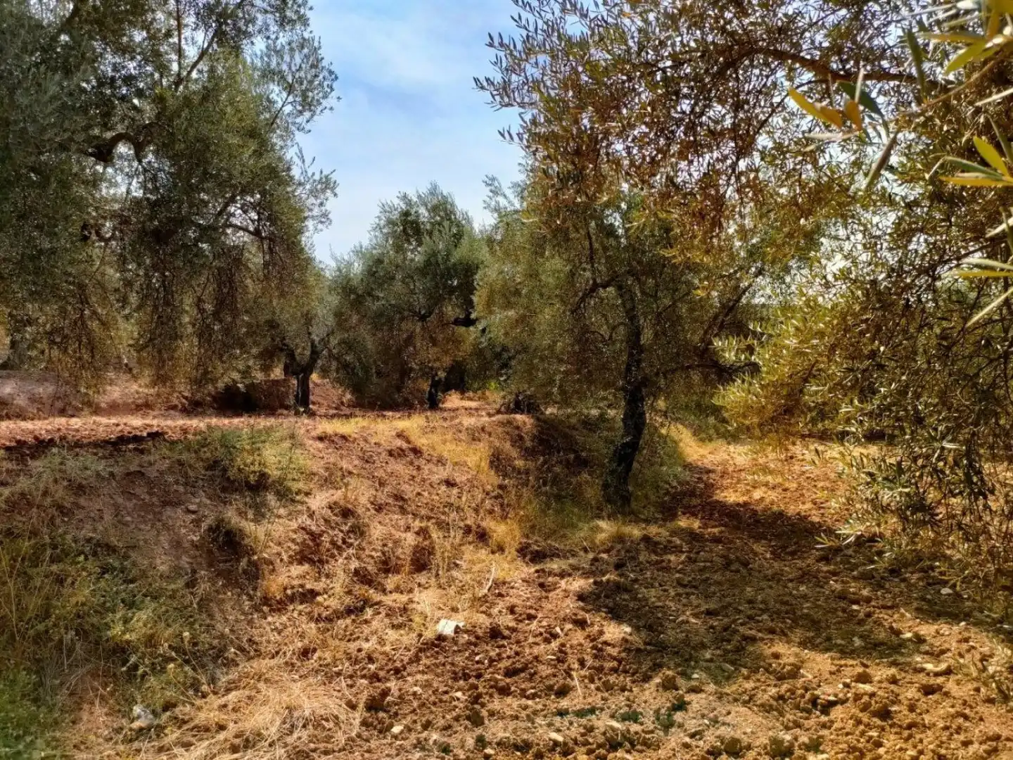 Grundstücke und Bauplätze zum Verkauf in Ugíjar, imagen 3