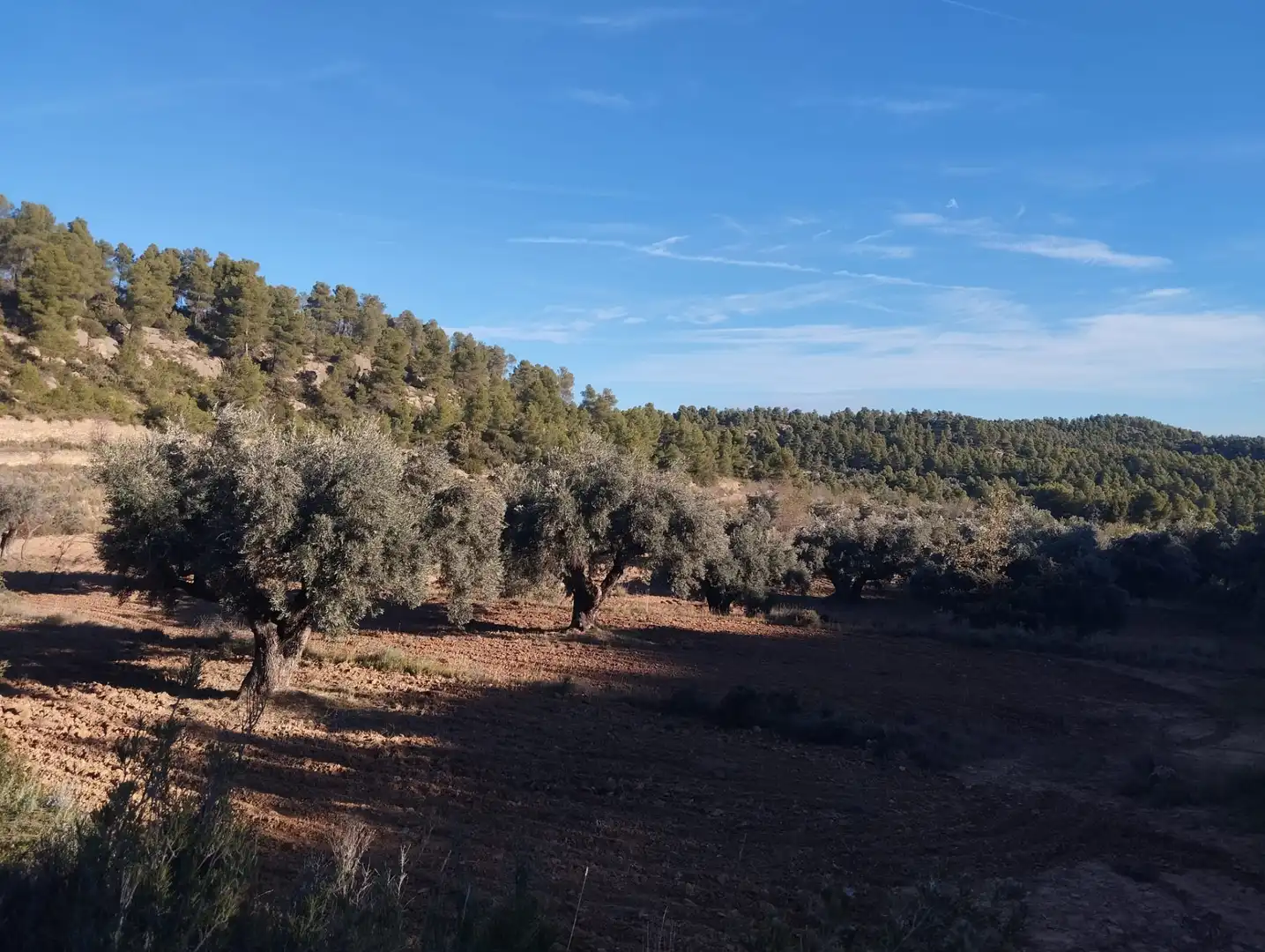 Terreni e lotti in vendita a La Fresneda, imagen 5