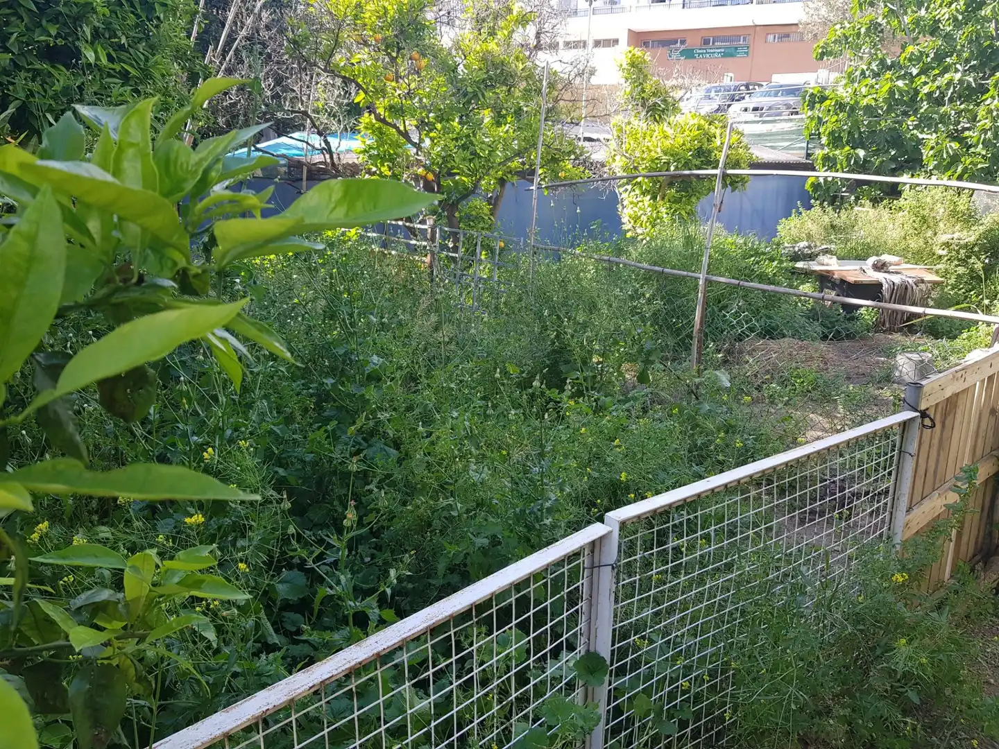 Terrenos y solares en venta en Calle Los Bancales, imagen 6