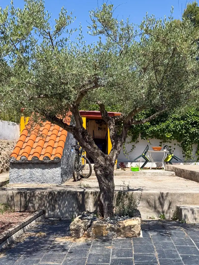 Villa con piscina in vendita a L'Alcora, imagen 41