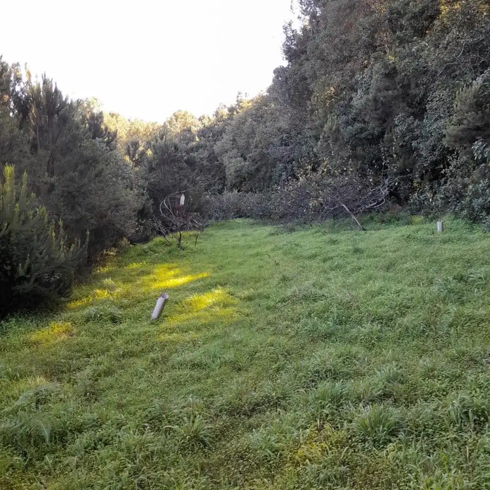 Rural land for sale in Hoya De Manzaneros, imagen 3