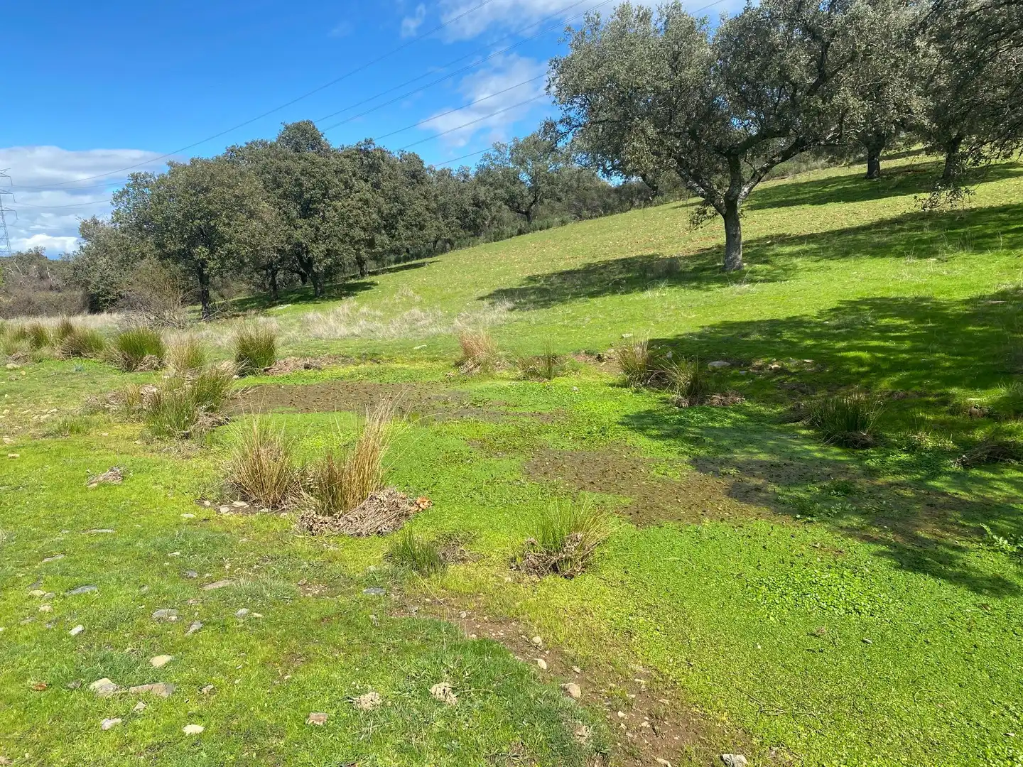 Terreny en venda en Mohedas de la Jara