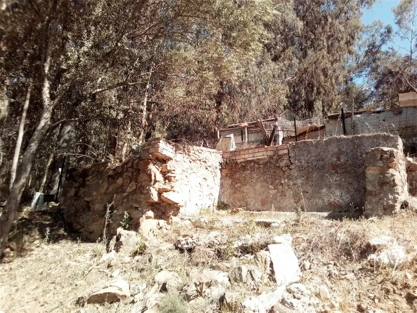 Vista exterior de Casa o xalet en venda en Cortes de la Frontera amb Jardí privat i Traster