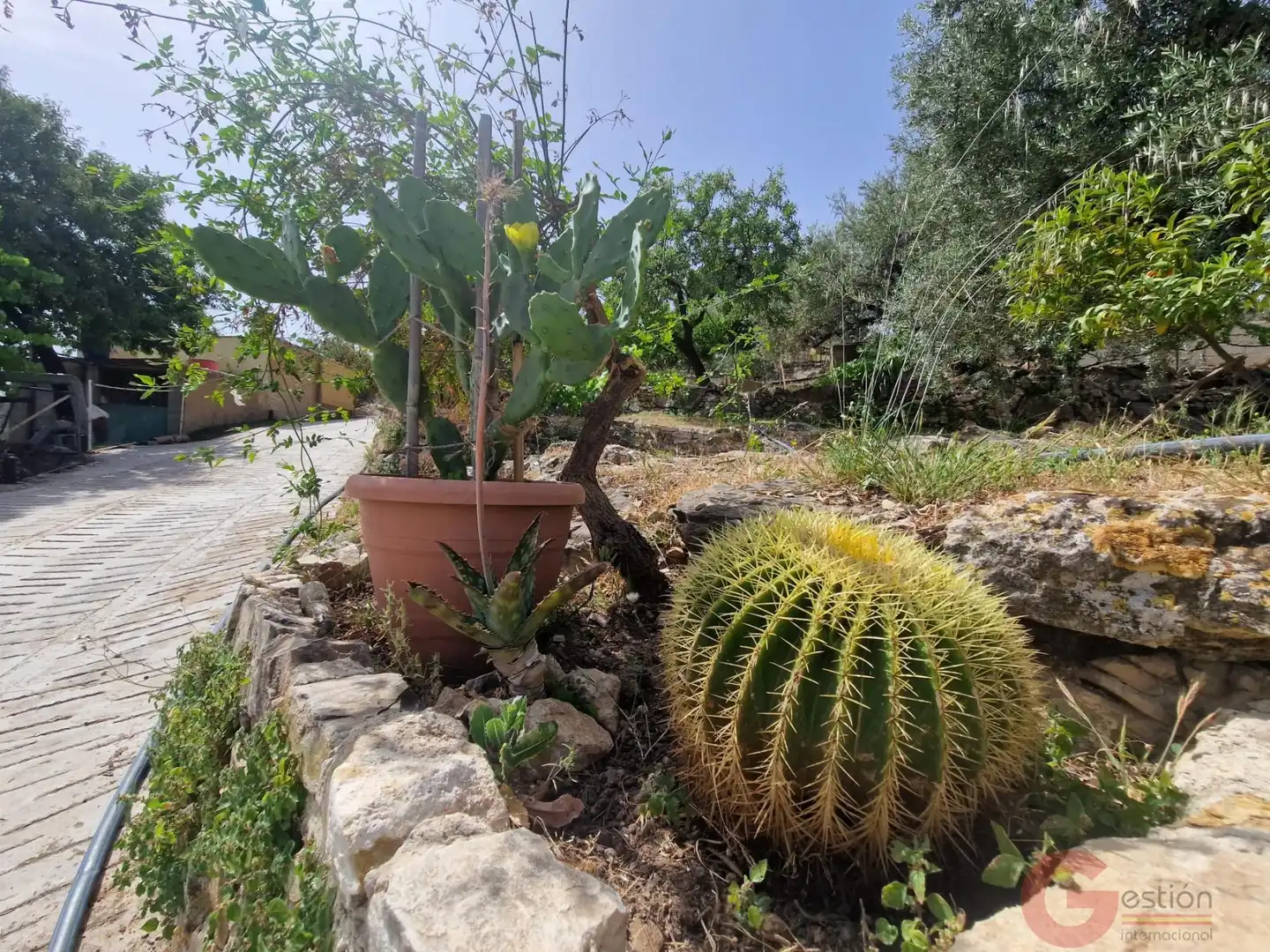 Garten von Country house zum Verkauf in El Pinar mit Terrasse und Schwimmbad