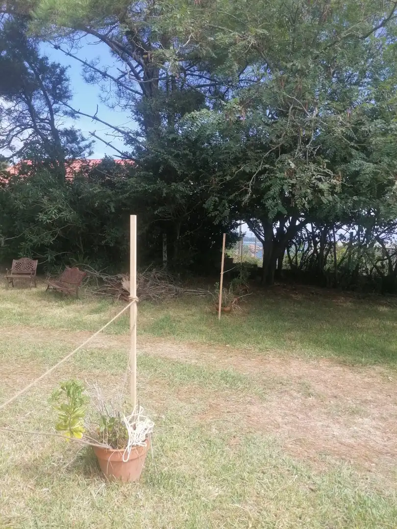 Terreni e lotti in vendita a Palmeira, imagen 8