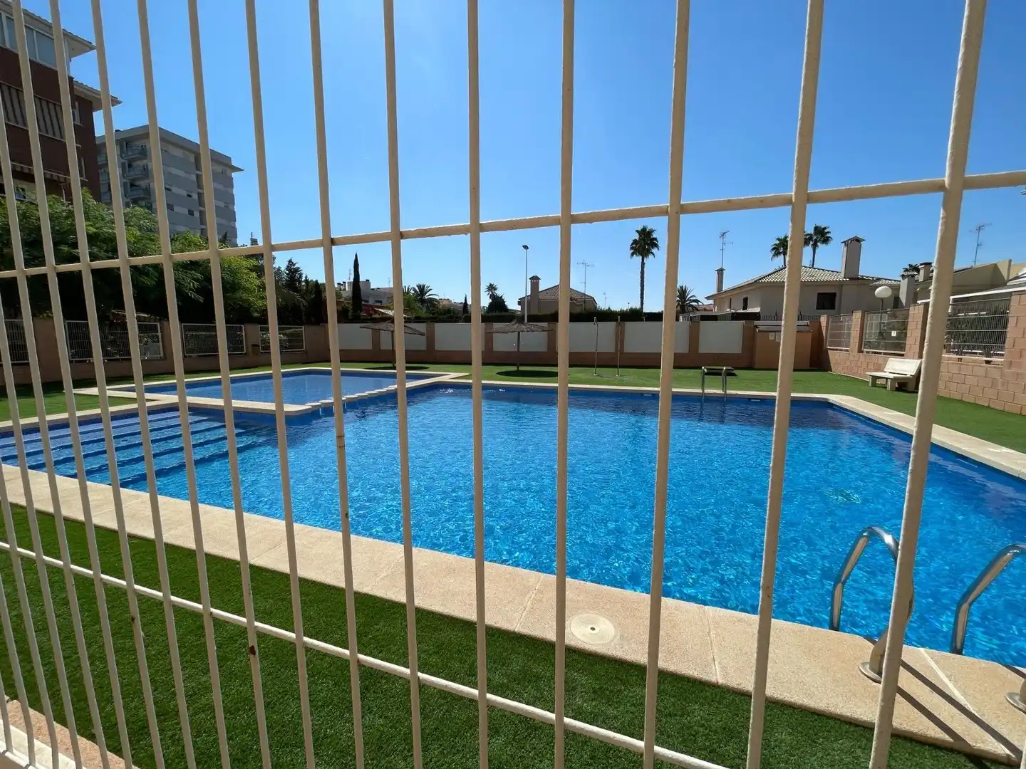 Swimming pool of Detached homes for sale in Elche / Elx