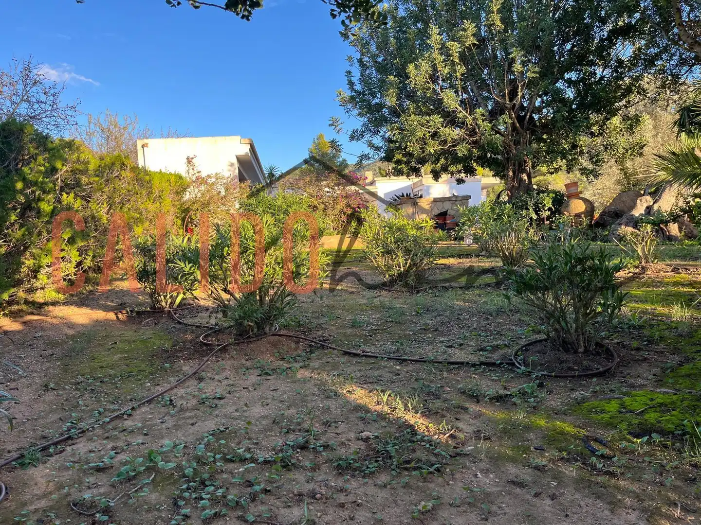 Haus oder Chalet zum Verkauf in Calvià pueblo