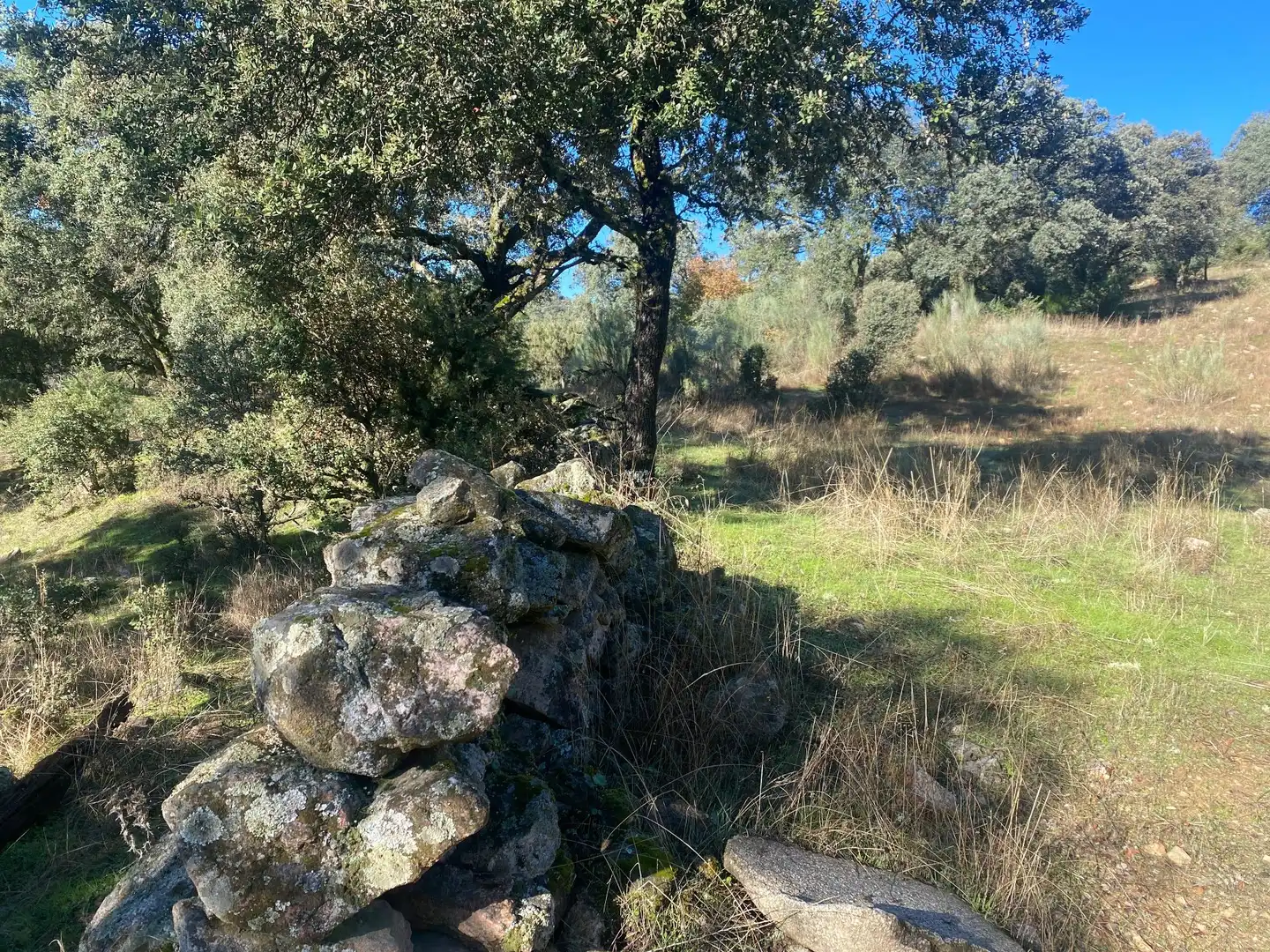 Country house zum Verkauf in El Real de San Vicente