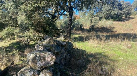 Photo 3 of Country homes for sale in El Real de San Vicente, Toledo