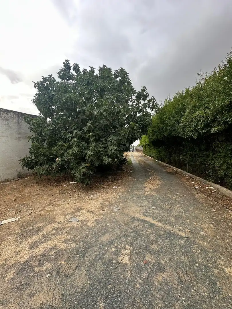 Terreni e lotti in vendita a Pedanías Norte, imagen 15