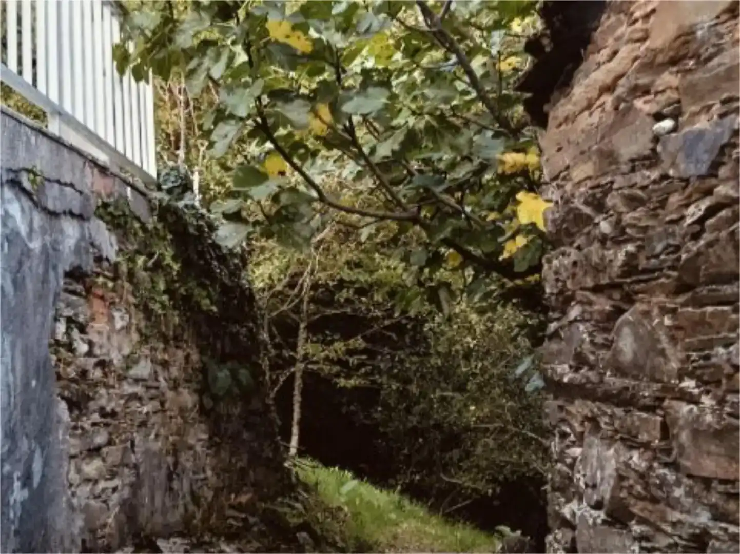 Vista exterior de Finca rústica en venda en Folgoso do Courel amb Jardí privat, Traster i Moblat