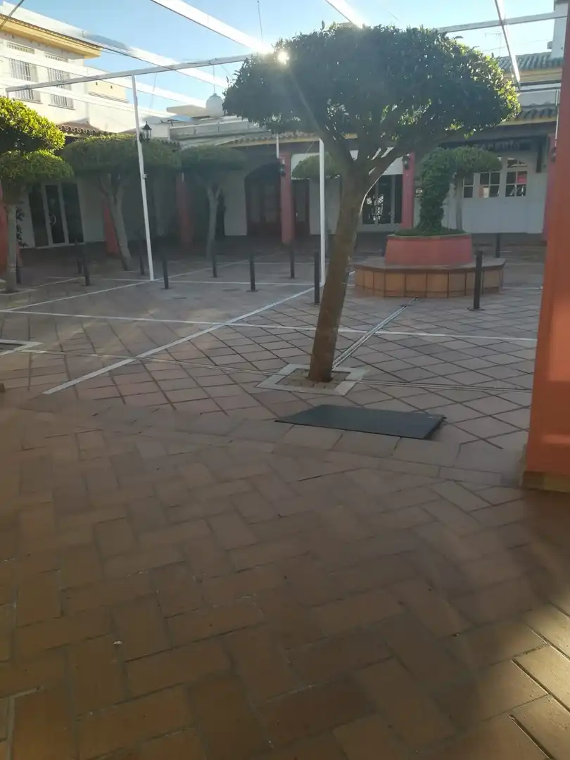 Local comercial de lloguer a Novo Sancti Petri, imagen 8