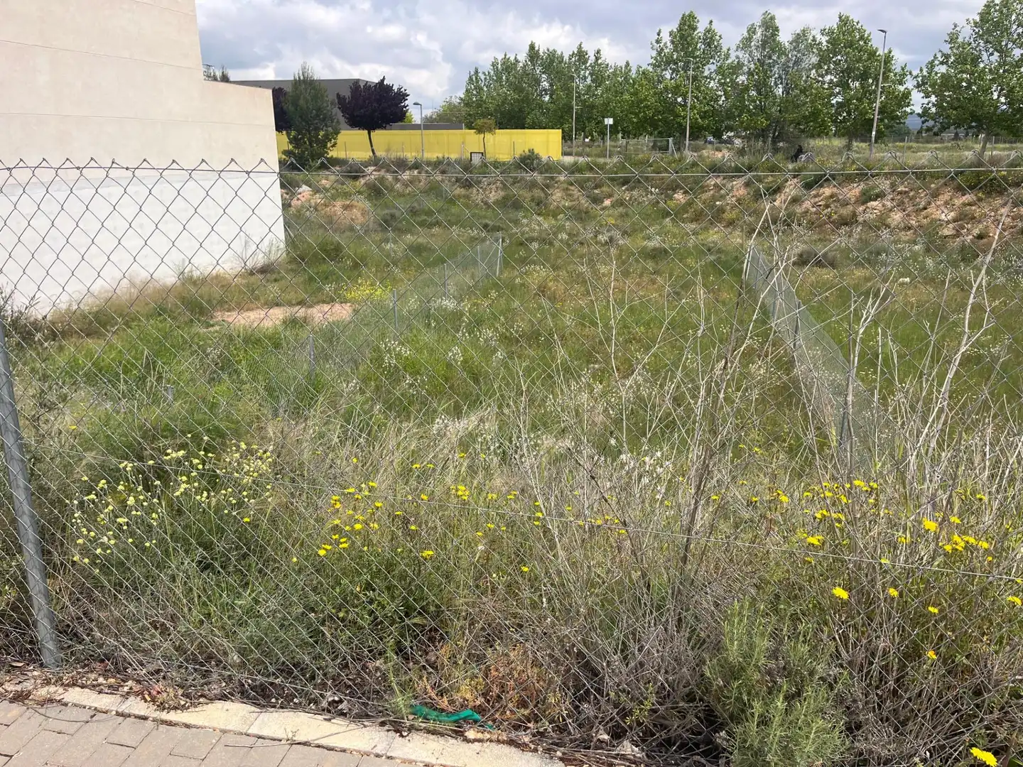 Wohnbaugrundstück zum Verkauf in Almansa, imagen 6