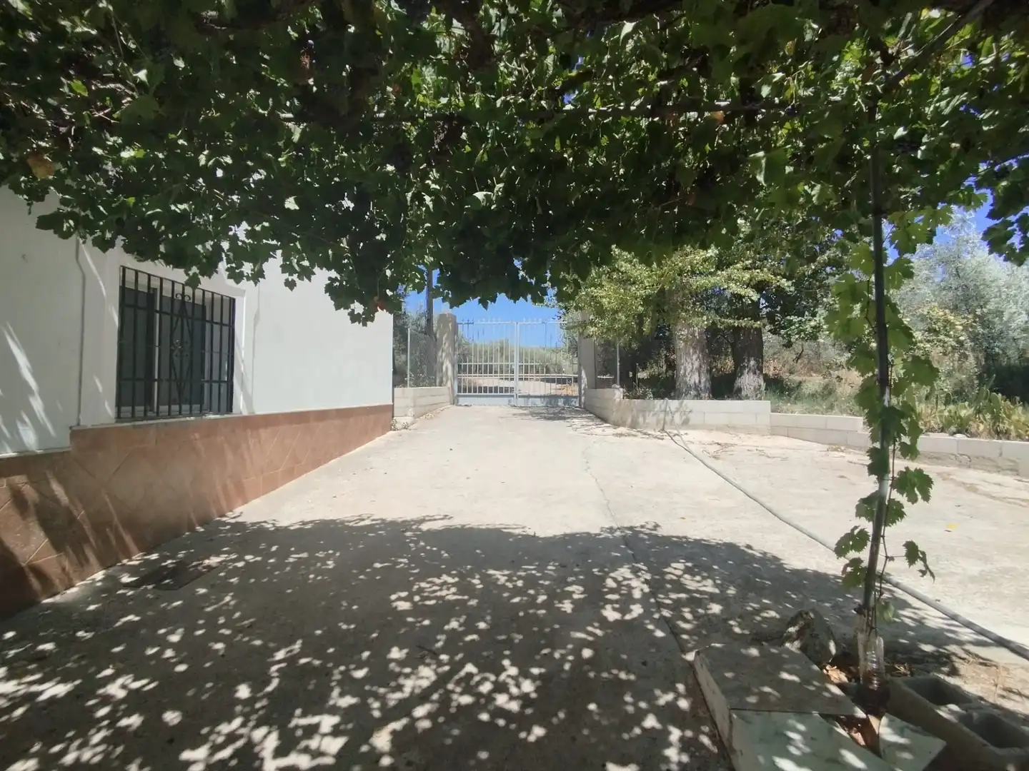 Finca rústica en venta en Cabra con Jardín privado