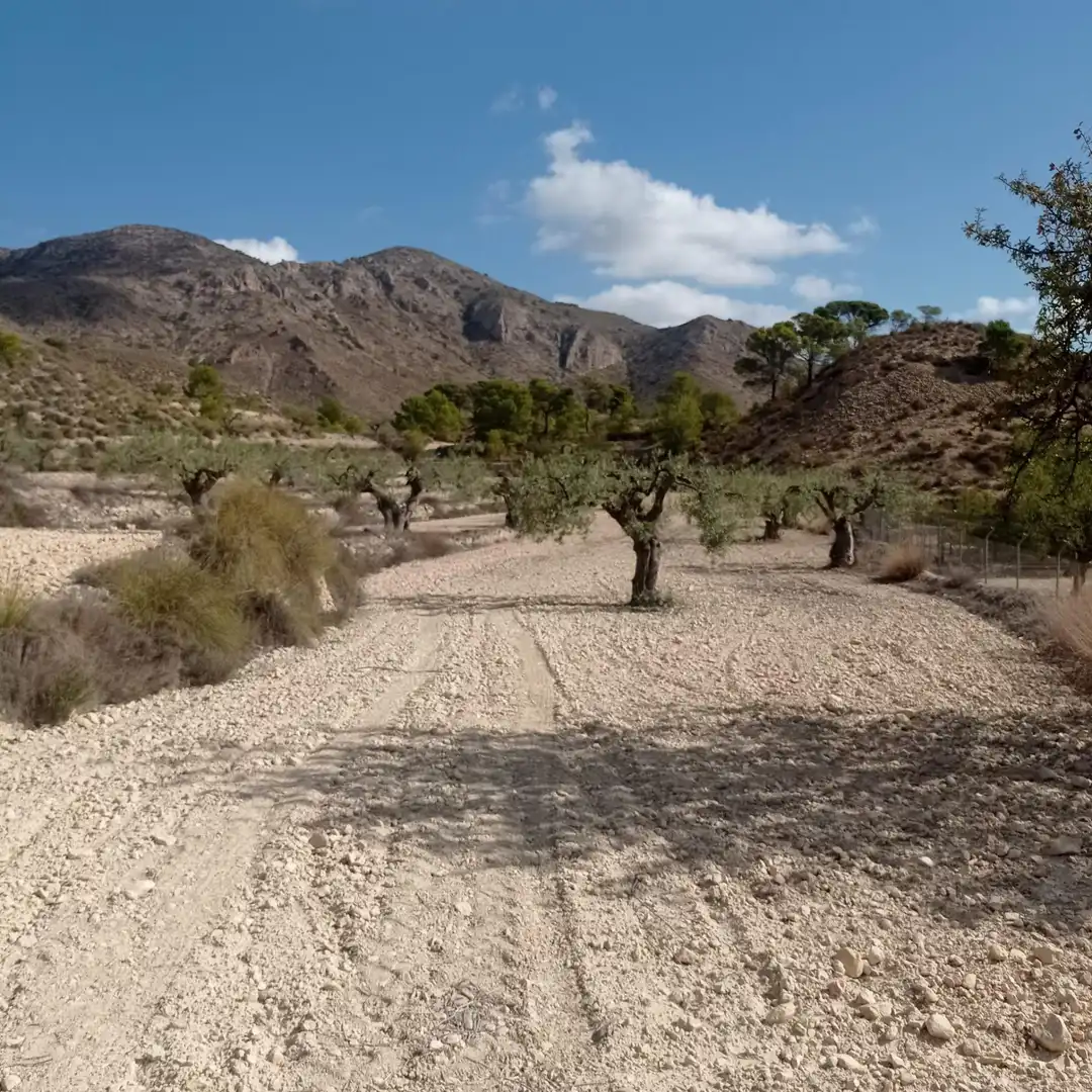 Terrain rustique à vendre à Hondón de las Nieves / El Fondó de les Neus, imagen 17