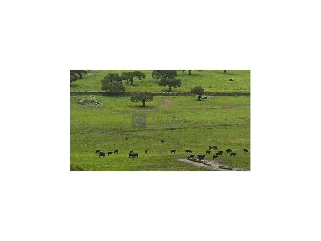 Casa o chalet en venta en Malpartida de Plasencia