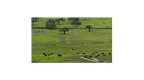 FINCA GANADERA DE UNAS 1300 HECTÁREAS