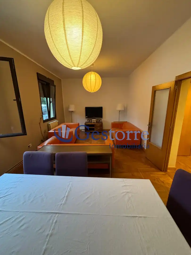 Sala d'estar de Pis de lloguer en Oviedo  amb Calefacció, Parquet i Moblat
