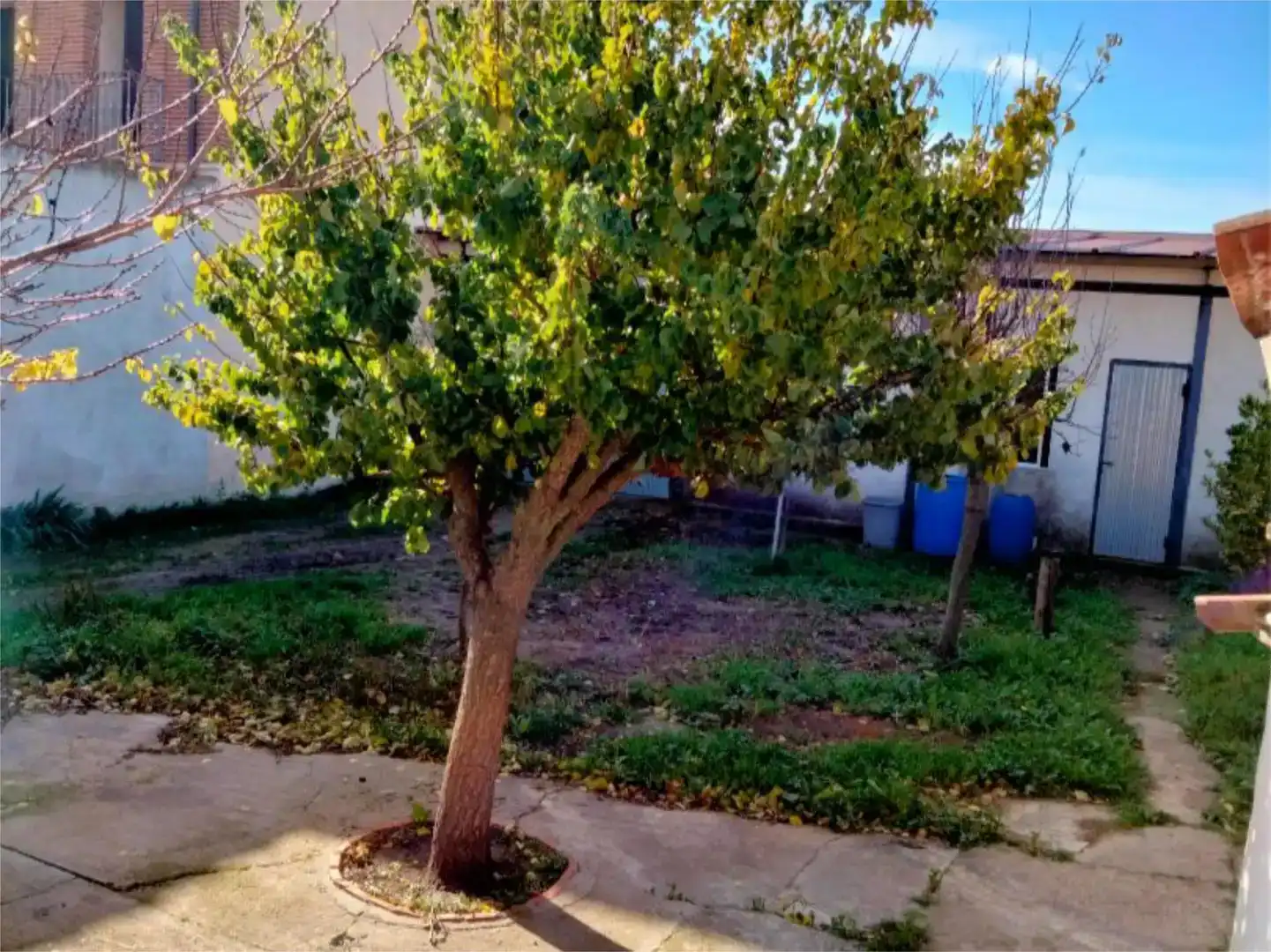 Jardí de Pis en venda en Serrada amb Jardí privat i Traster