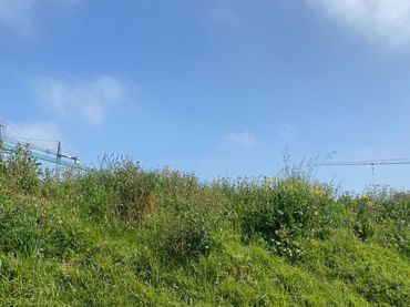 Terreno residenziale in vendita a Bezana - Prezanes