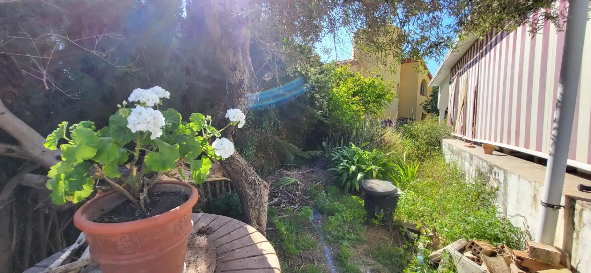 Jardín de Casa o chalet en venta en Marbella con Jardín privado, Terraza y Trastero