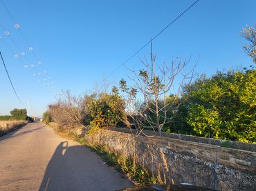Terreno rustico in vendita a Madrigal