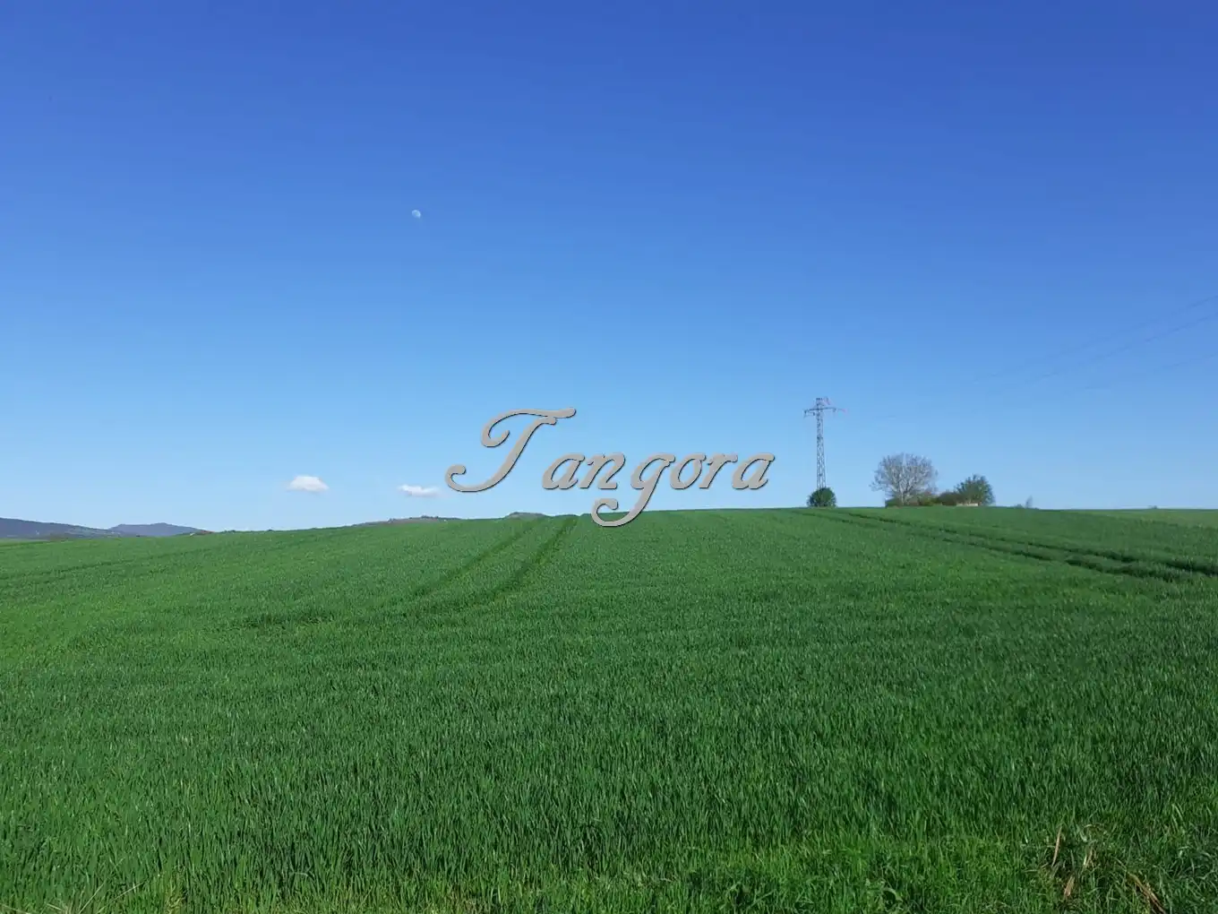 Industrial land for sale in La Puebla de Arganzón 
