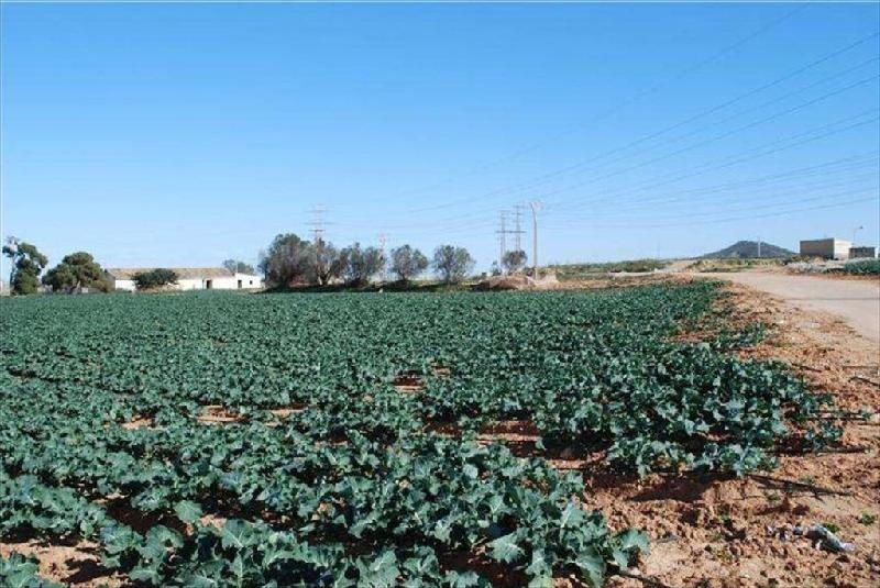 Residential for sale in Cartagena