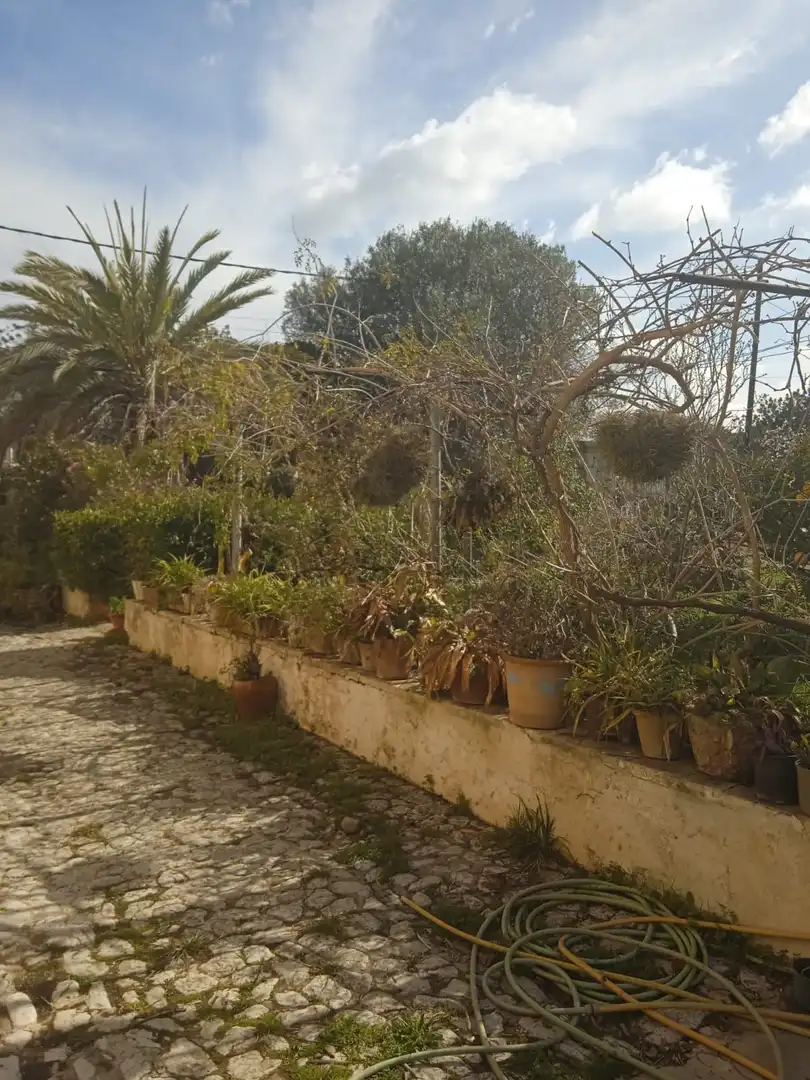 Casa o xalet en venda a Ma-1040, El Secar de la Real
