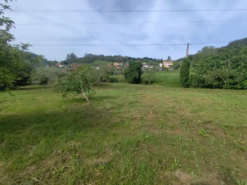 Terreni e lotti in vendita a Pravia, imagen 4