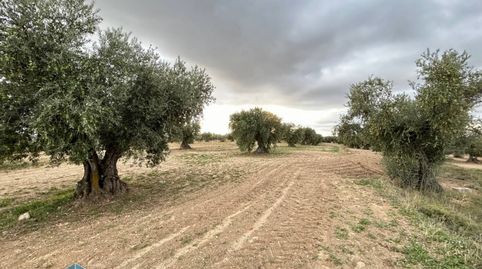 Terreno en venta en Guadamur