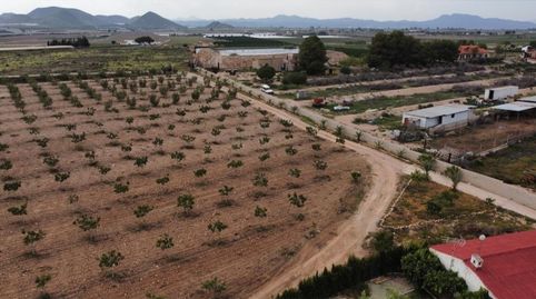 Foto 5 de Finca rústica en venda a Escucha, Lorca